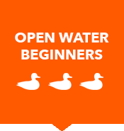 Open Water Swim Camps for Beginners